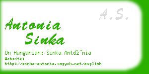 antonia sinka business card